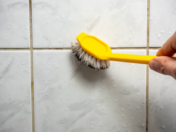 Best Mold Cleaning Services  in Runaway Bay, TX