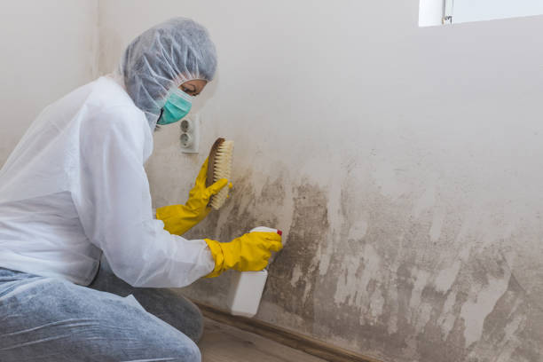 Best Crawl Space Mold Removal  in Runaway Bay, TX