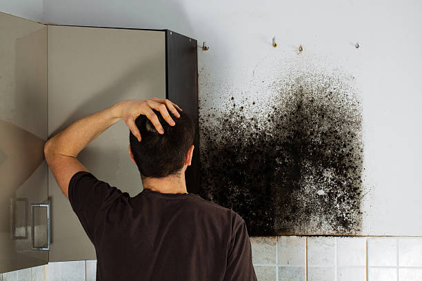Best Toxic Mold Removal  in Runaway Bay, TX