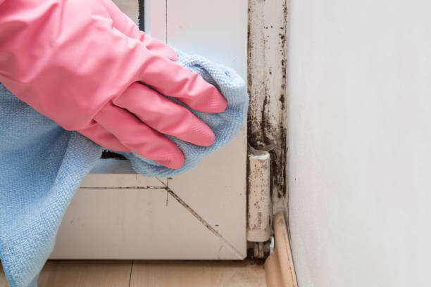 Best Residential Mold Removal  in Runaway Bay, TX